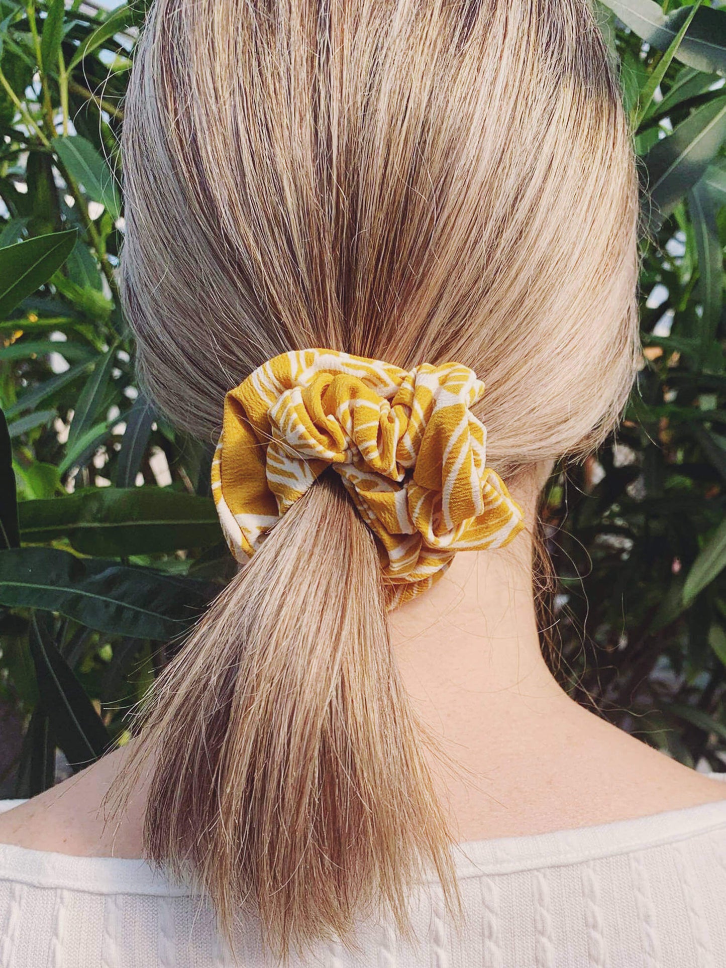 Choux - Feuille Jaune