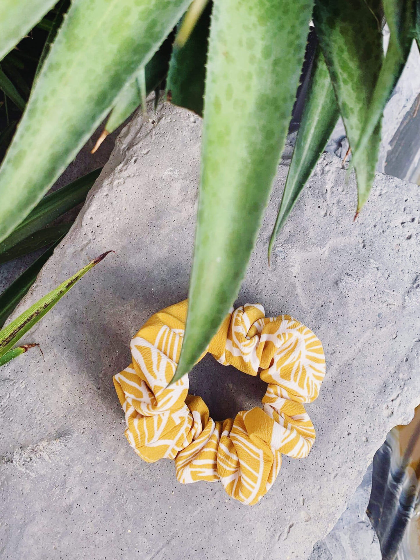 Choux - Feuille Jaune