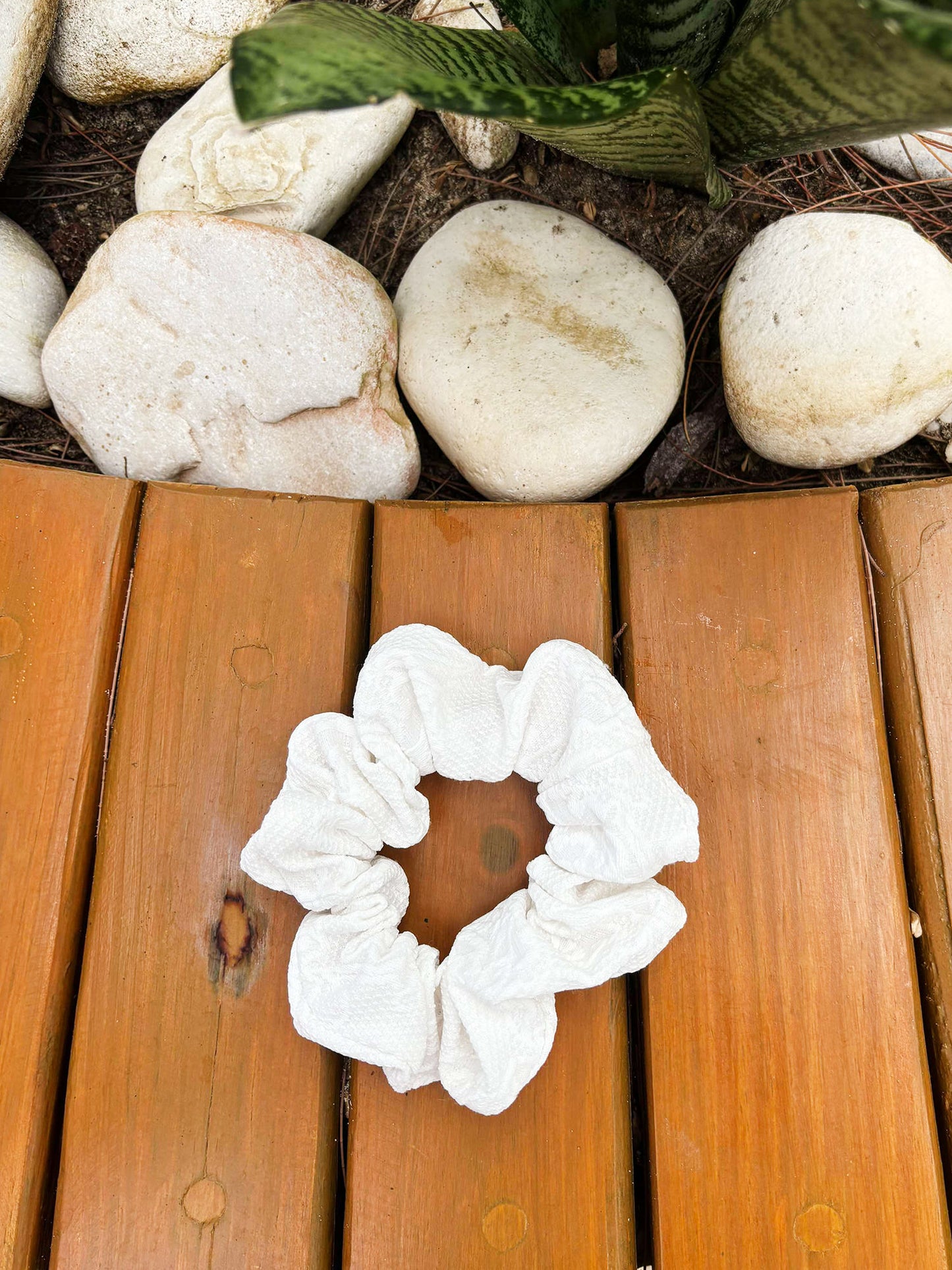 Choux - Dentelle Blanche