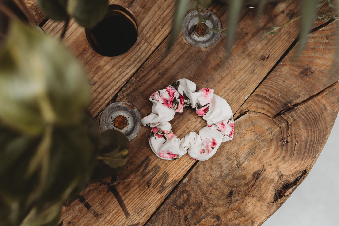 Choux - Fleur de jardin