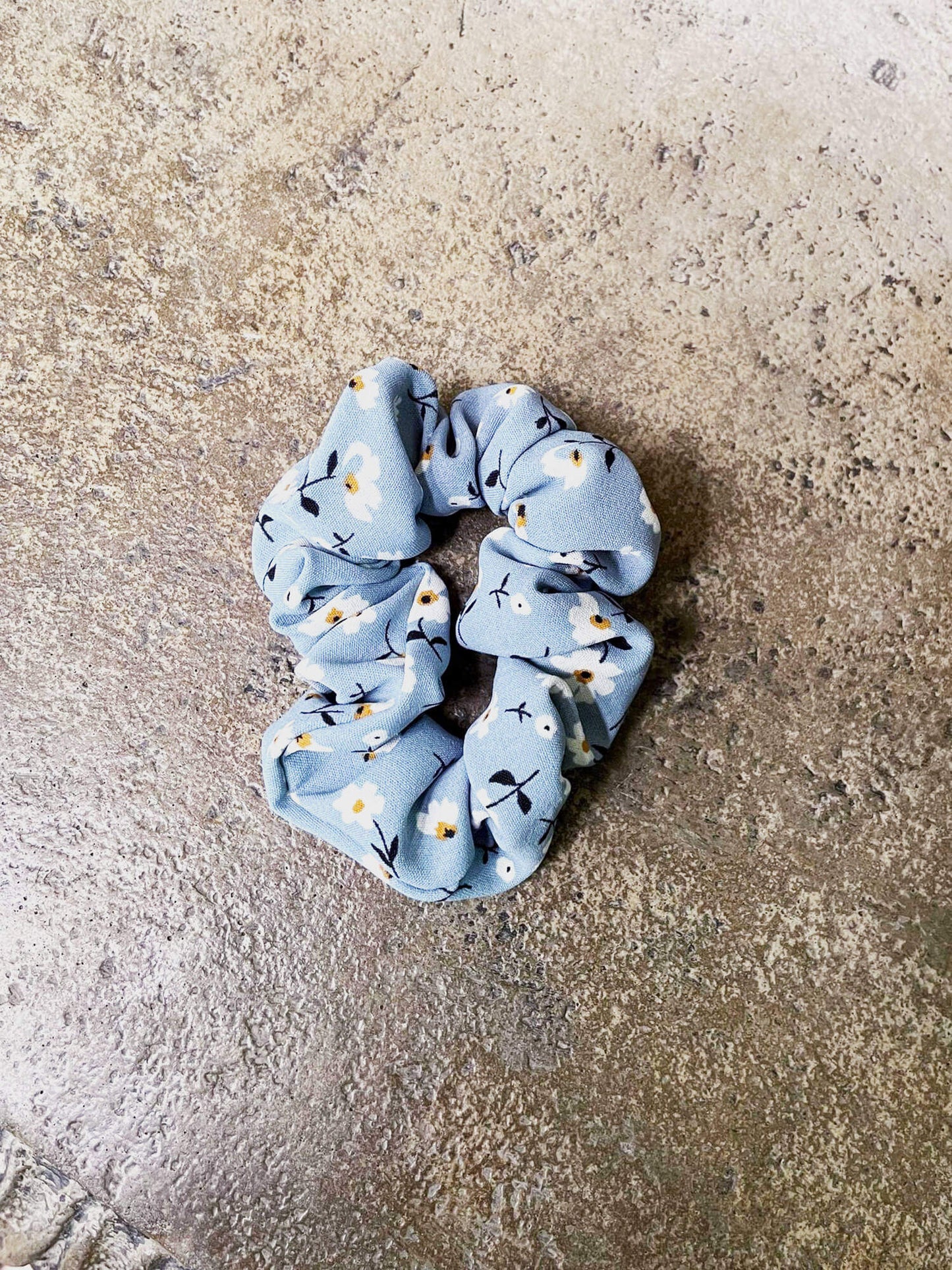 Choux - Bleu (Noémie)