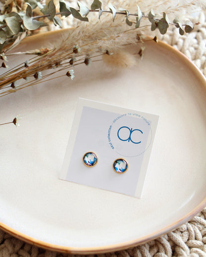 Clous d'oreilles - Multicolore